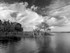 Cracker Cove Little Lake Harris Fl