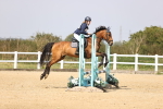 SBM_002319