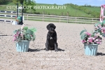BPP_5193