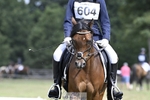 Cls 15, 16 & 17 Dressage portfolio
