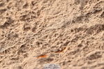 231015A-145010-08823
