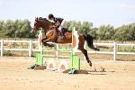 SBM_008109