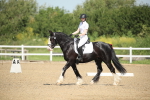 SBM_008002