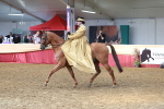 SBM_13558
