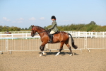 SBM_02236