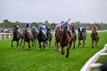 200826-Race 3-The Lost King-3366