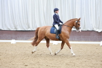SBM_003377