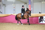 Supreme Final - Ridden Champion portfolio