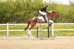 SBM_005584