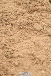 230610A-132942-03495