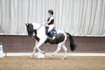 SBM_003553