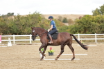 SBM_010224