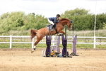 SBM_003280