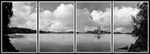 4 Panel Picture - Commissioned for FAS Cavan Office