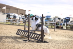 SBM_003568