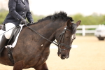 SBM_006556