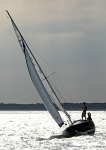 110604 BRIGHT OYSTER IMG_2047