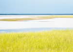 KOUCHIBOUGUAC NP #1 - NEW BRUNSWICK