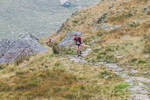 Peris Horseshoe-721