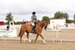 SBM_02792