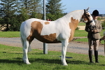 SIAL5403