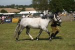 SBM_07634