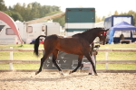 SBM_08193