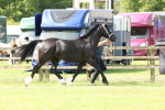 SBM_02376