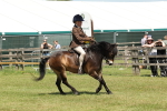 SBM_06826
