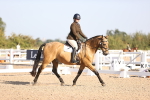 SBM_01673