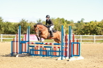 SBM_000508