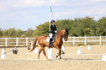 SBM_015254
