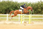 SBM_010065