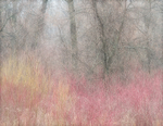 March, 2017 #1 - Norfolk County