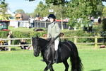 SBM_51986