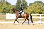 SBM_006731