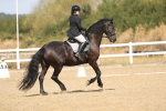 SBM_008555