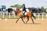SBM_011338