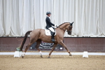 SBM_001541