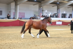 SBM_16714