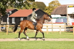 S6 - Novice & Newcomers Ridden Horse portfolio