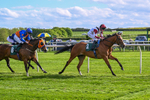 110526-Race 6-Betties Bay-1254
