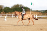 SBM_009226