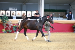 SBM_03054