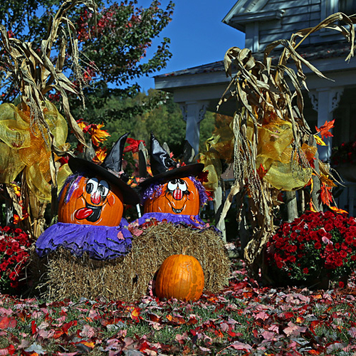 A seasonal display of decorated pumpkins, mums and accompanying décor.