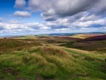 Haworth Moor