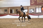 BPP_9047