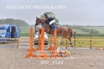 BPP_2549