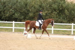 SBM_02071
