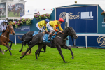 Race 5 Parsonage Hotel And Cloisters Spa Nursery Handicap at York portfolio